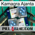 Kamagra Ajanta viagra5